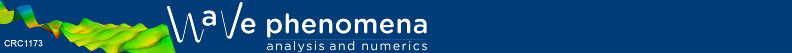 wave phenomena logo